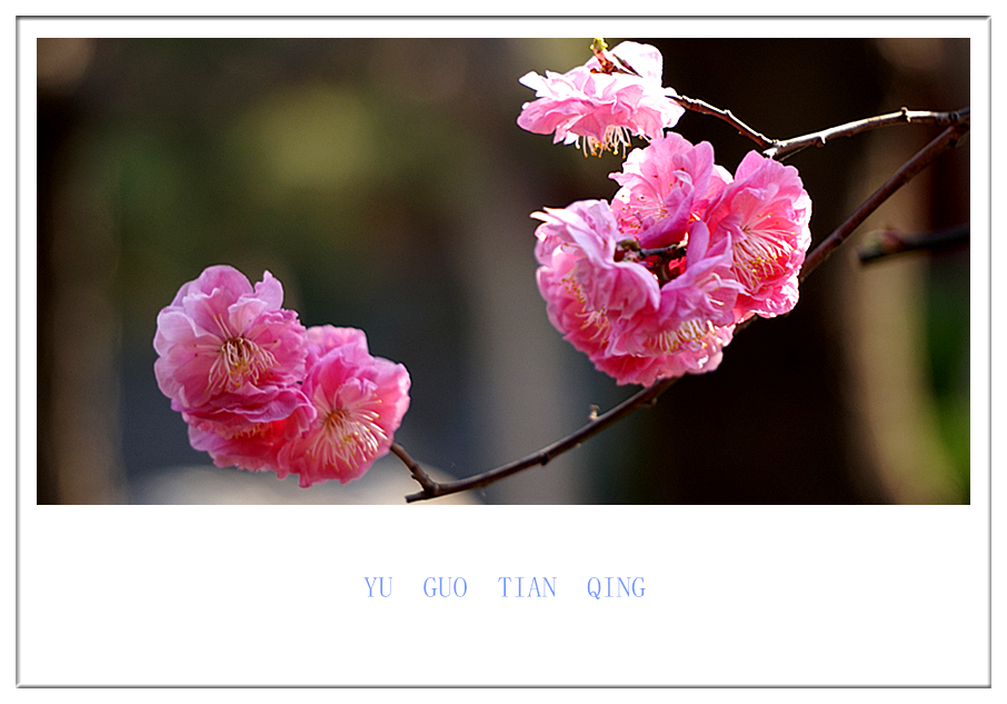 DSC09843_副本.jpg