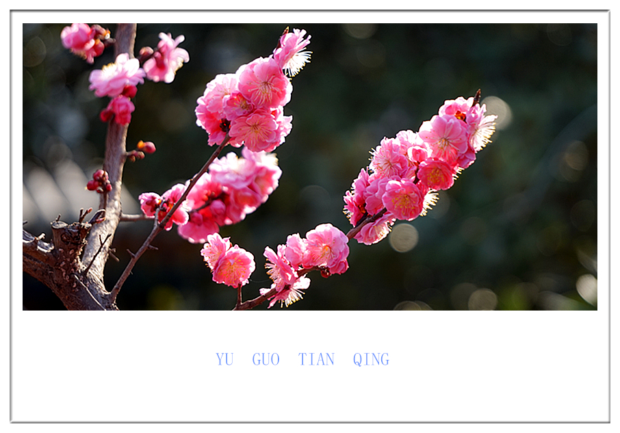DSC09830_副本.jpg
