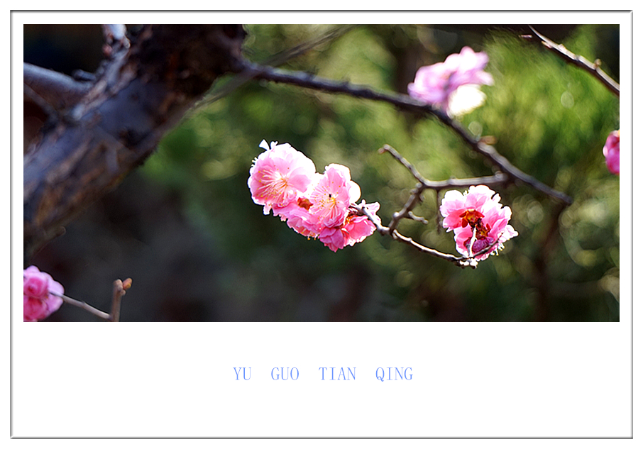 DSC09837_副本.jpg