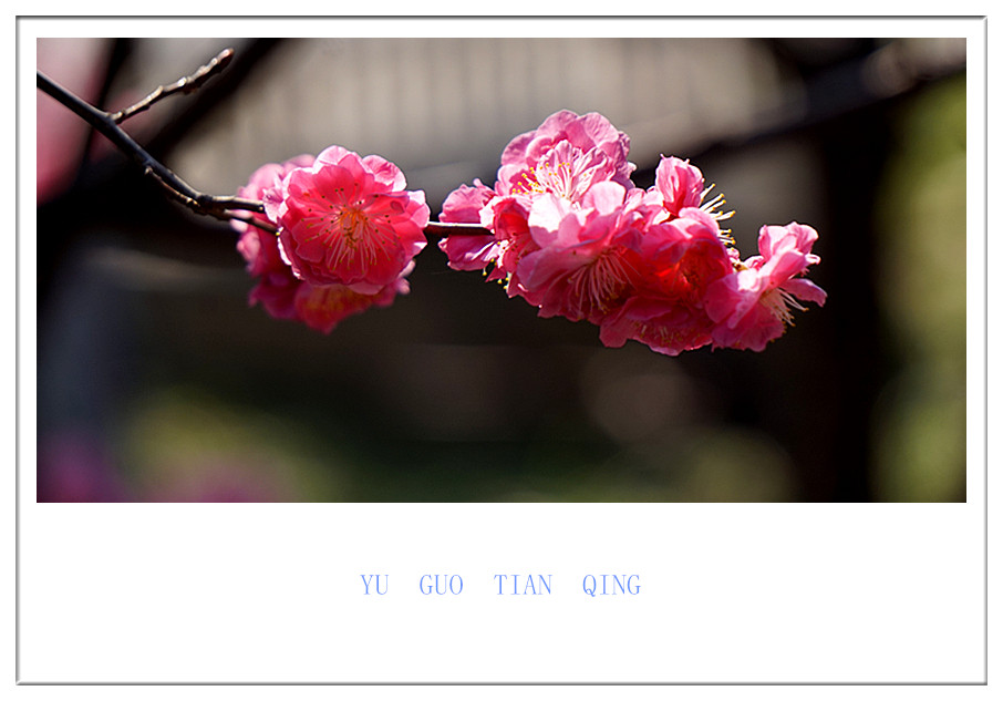 DSC09832_副本.jpg