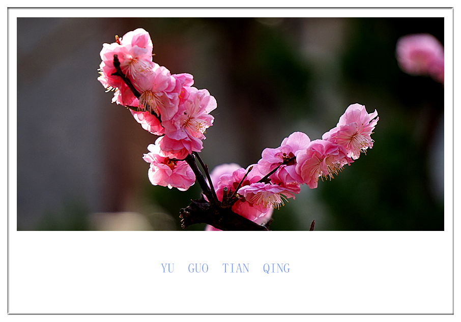 DSC09834_副本.jpg