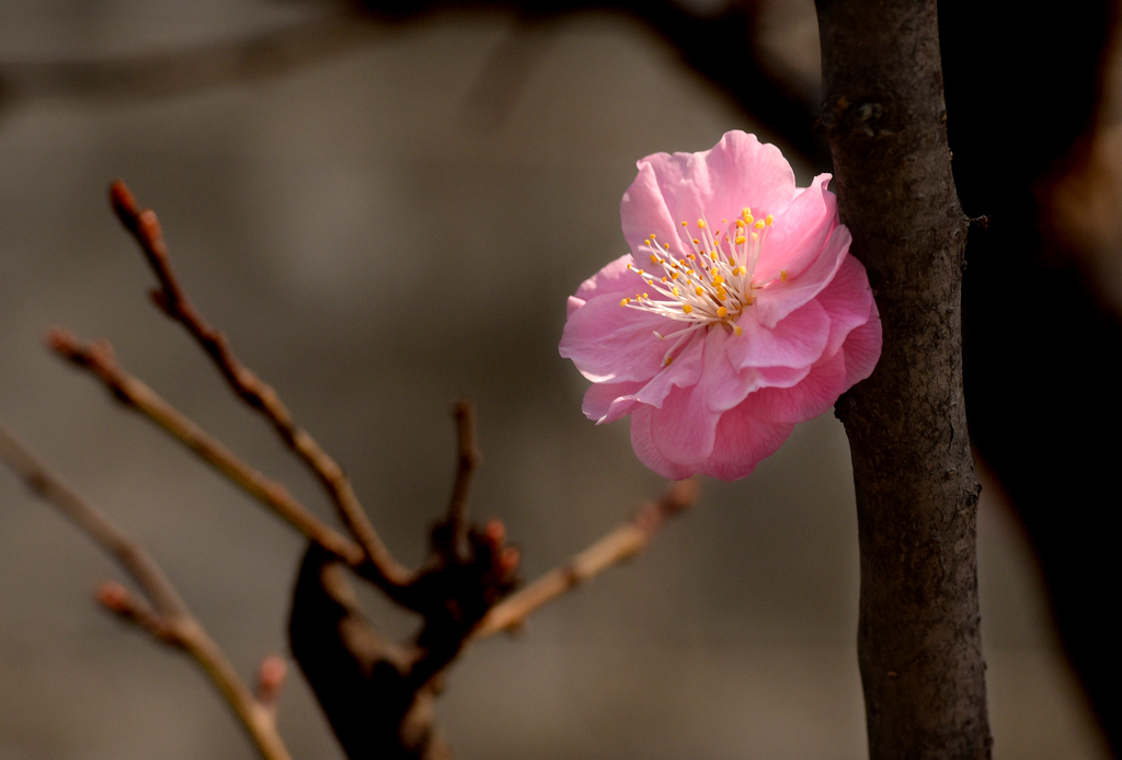 DSC_6638.jpg