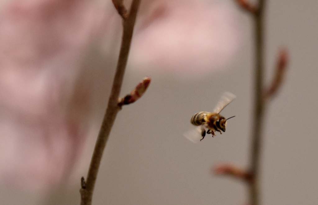 DSC_6657.jpg