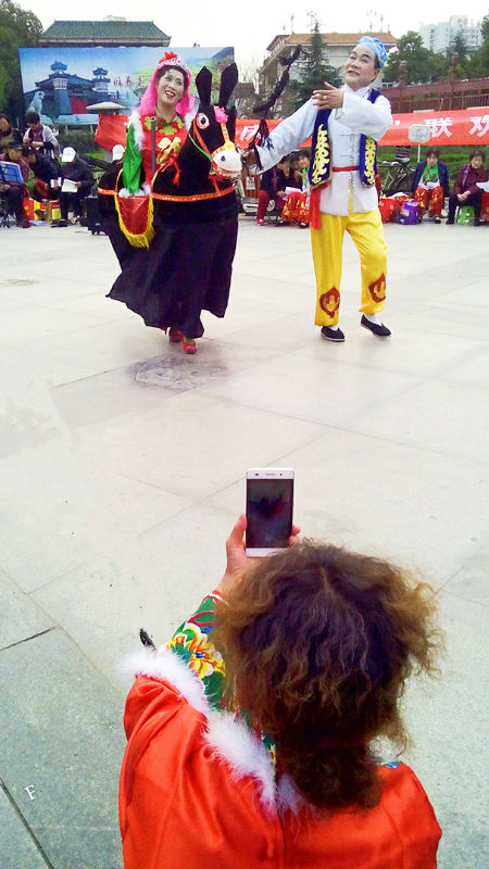 goMeihuaTemp_mh1488792421995.jpg