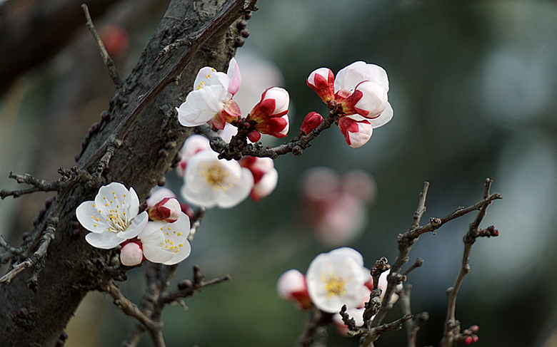 DSC09921_副本.jpg