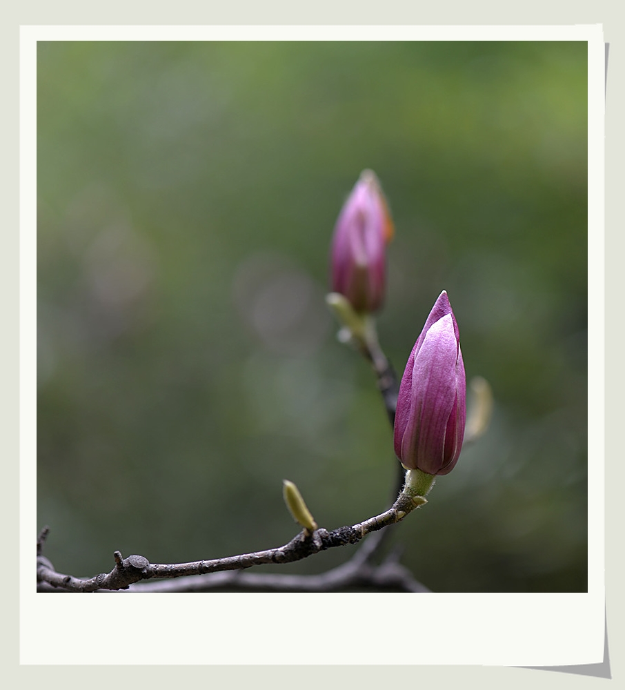 DSC_9983_副本.jpg