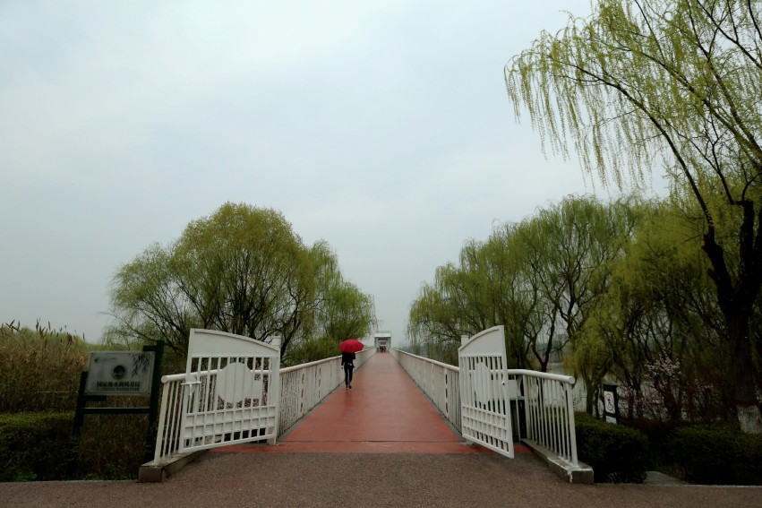 C24T3745_conew1_副本.jpg1.jpg1.jpg