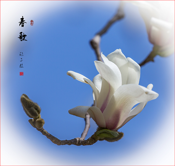 _X9A2958副本副本.jpg