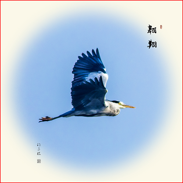 LIU_6367副本副本.jpg
