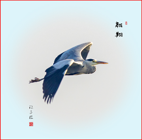 LIU_6372副本副本.jpg
