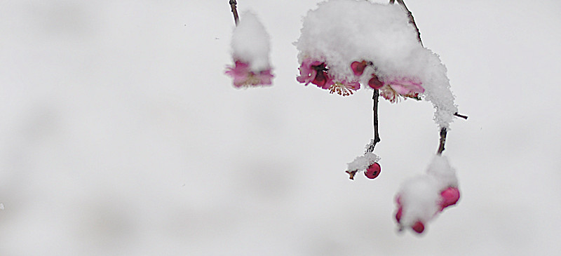 DSC_0210_副本.jpg