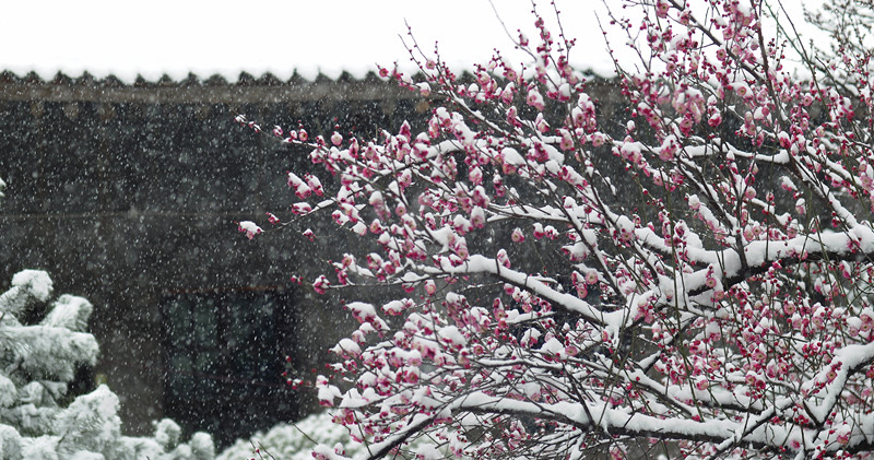 DSC_0673_副本.jpg