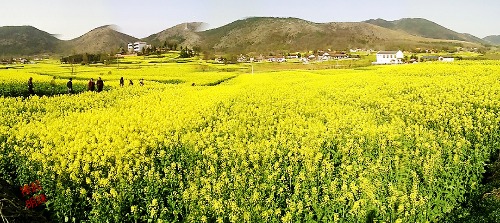 Pano_0700_mh1490437625325.jpg