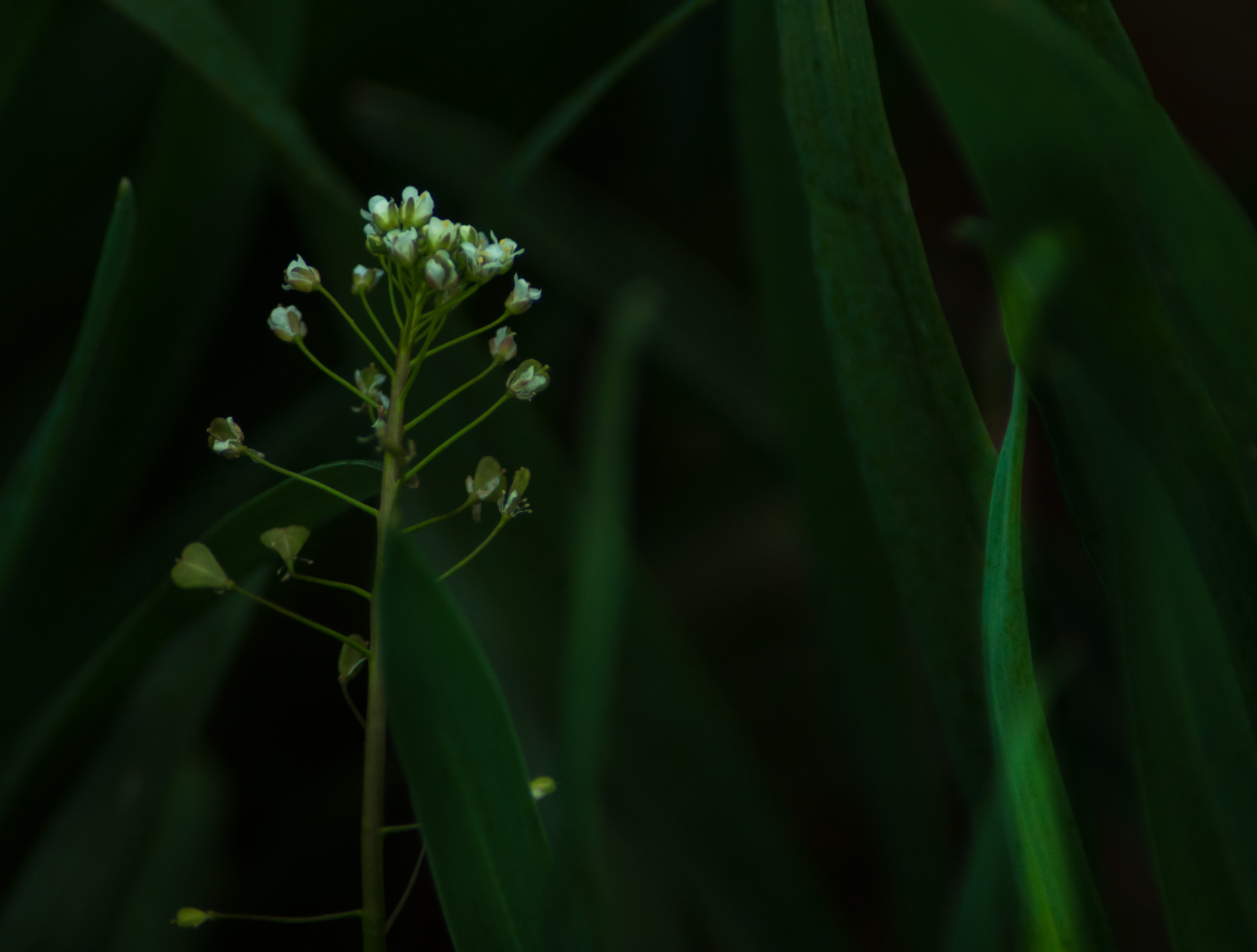 DSC_0478_副本.jpg
