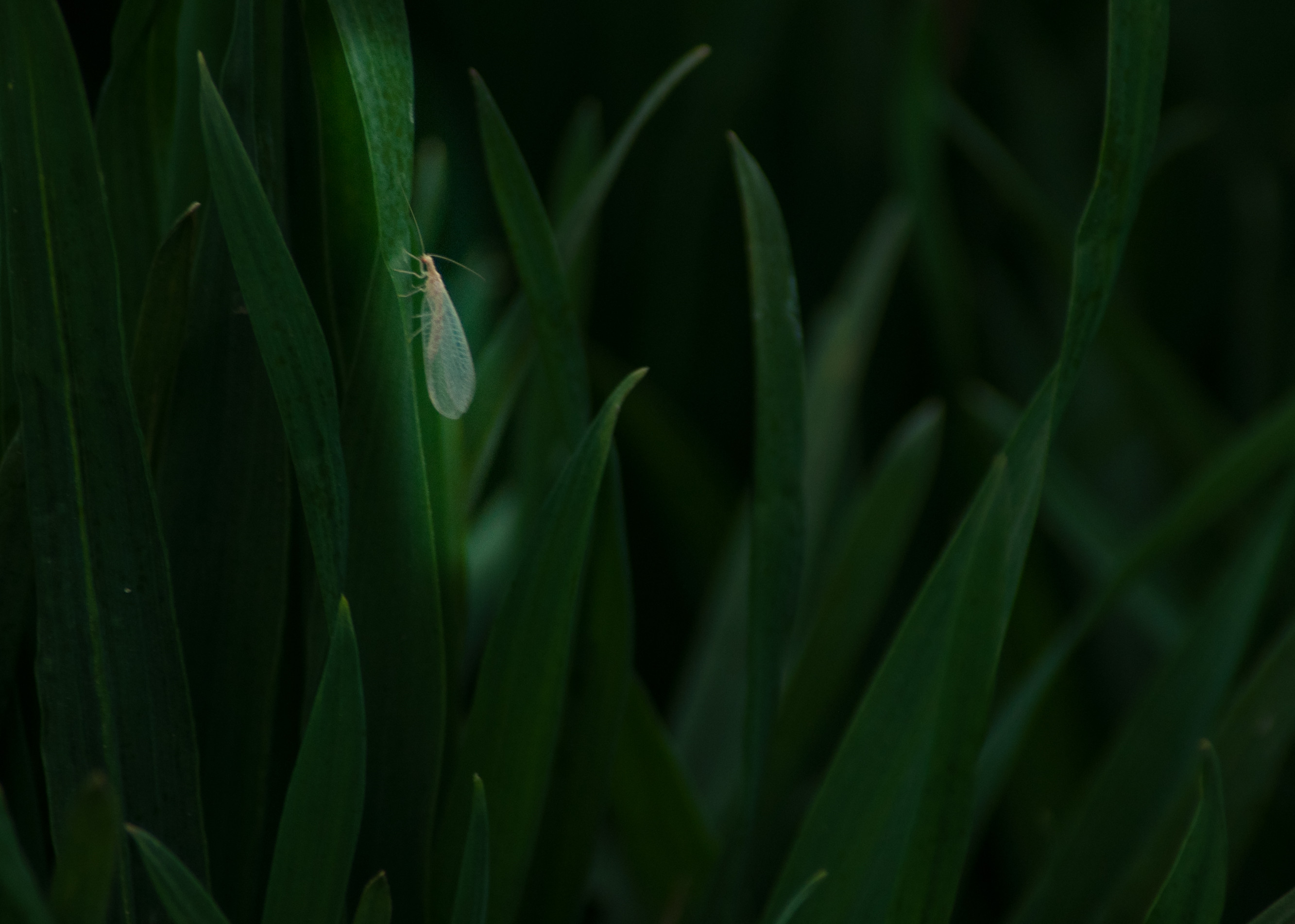 DSC_0472_副本.jpg