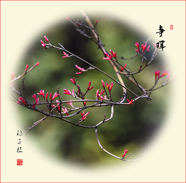 LIU_9521副本2.jpg