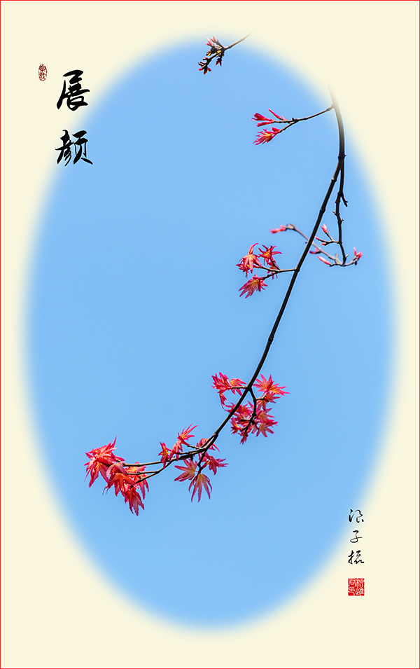 LIU_9515副本3.jpg