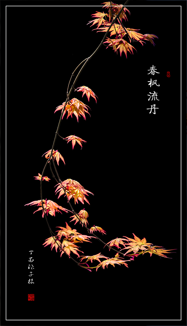 LIU_9527副本副本2.jpg