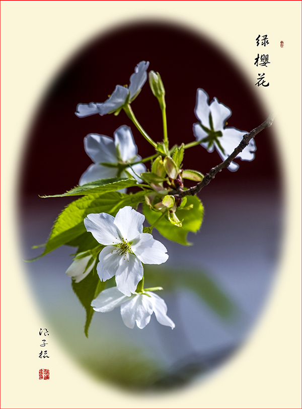 LIU_9708副本2.jpg