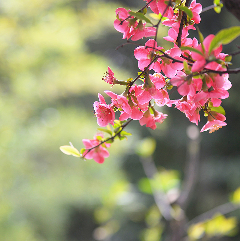 DSC_0552_副本.jpg