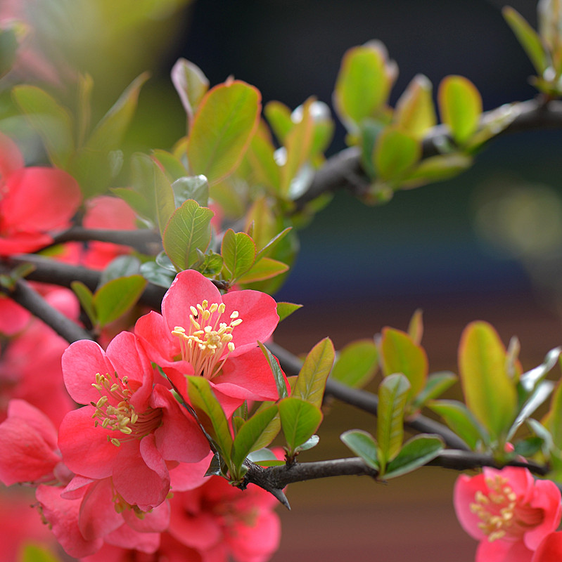 DSC_0295_副本.jpg