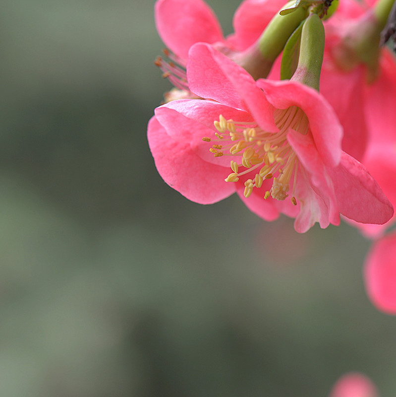 DSC_0317_副本.jpg