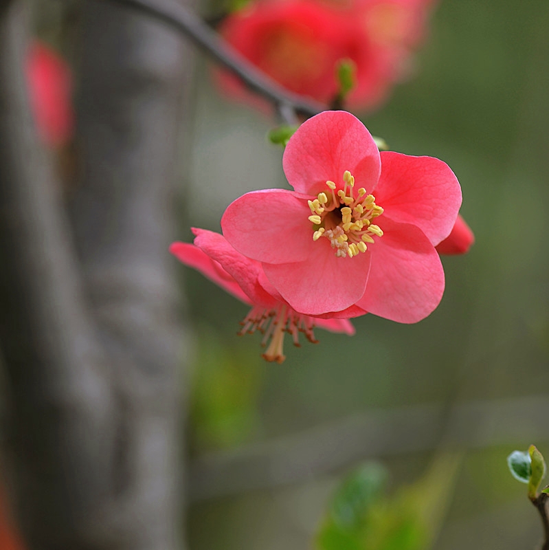 DSC_0328_副本.jpg