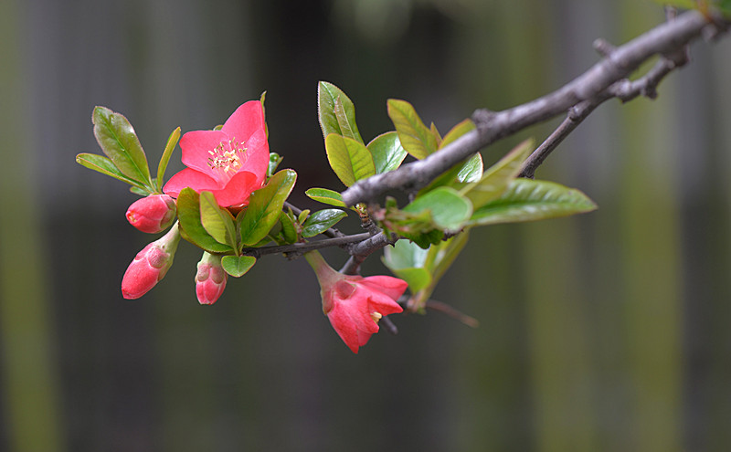 DSC_0344_副本.jpg