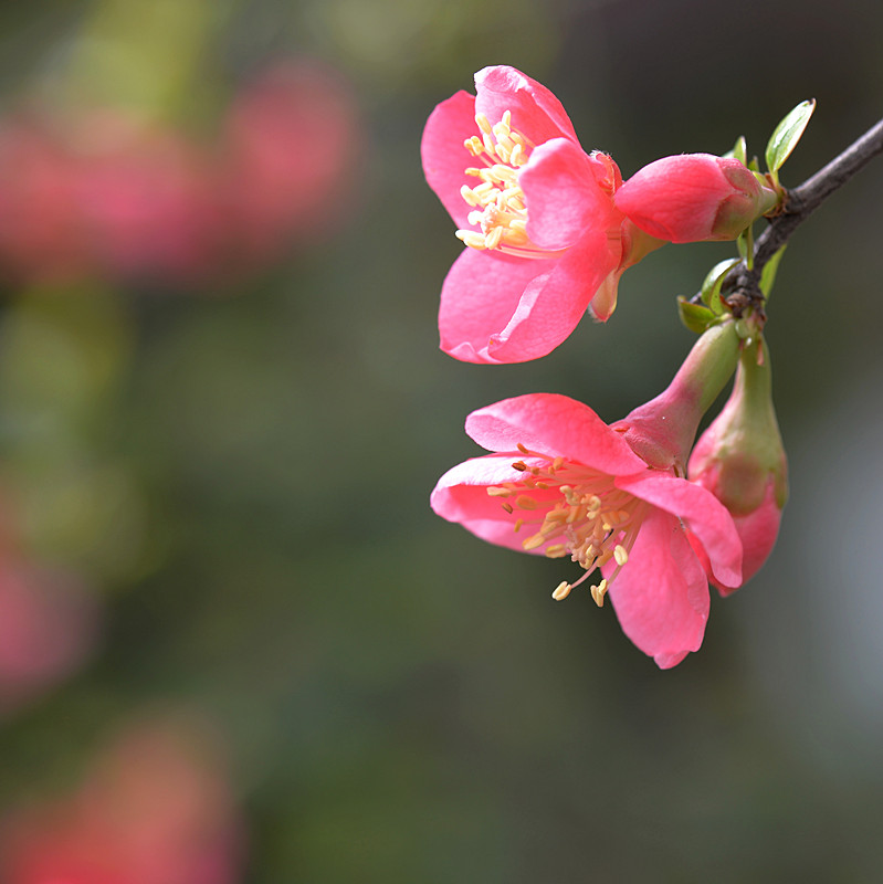 DSC_0382_副本.jpg