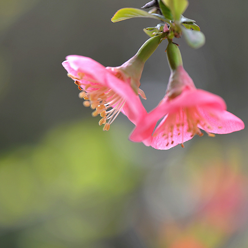 DSC_0542_副本.jpg