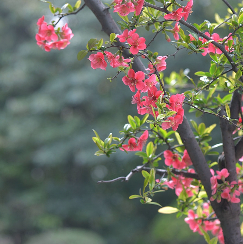 DSC_0543_副本.jpg