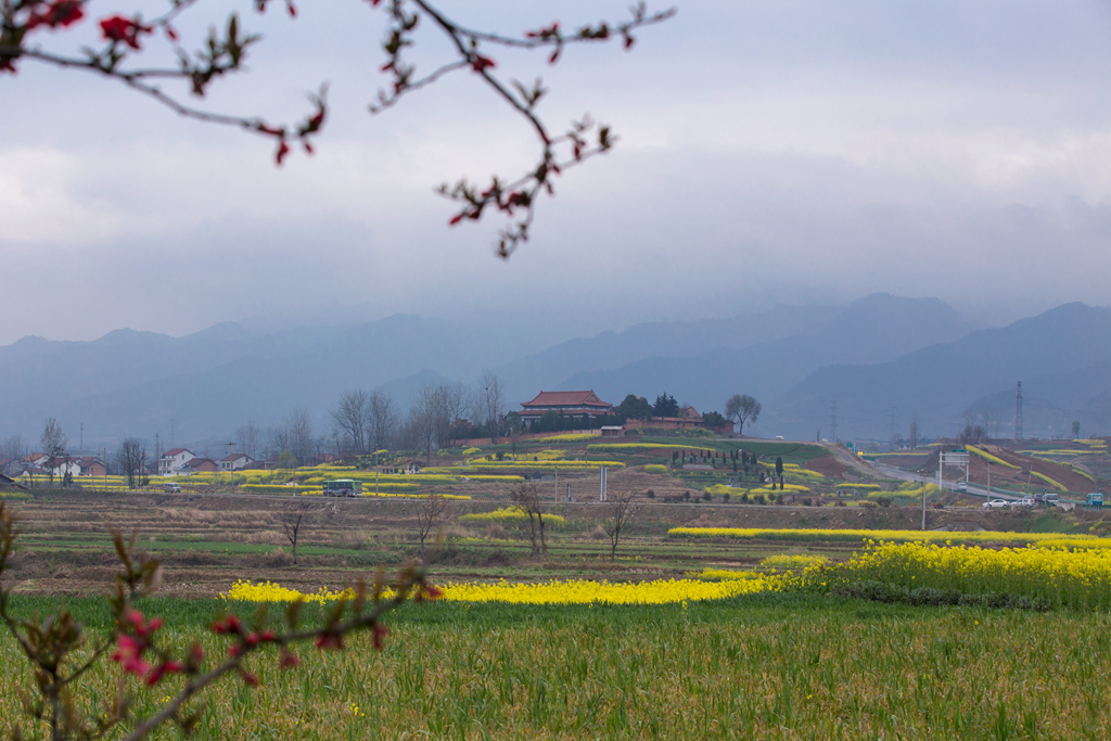 IMG_0406-1_副本_副本.jpg