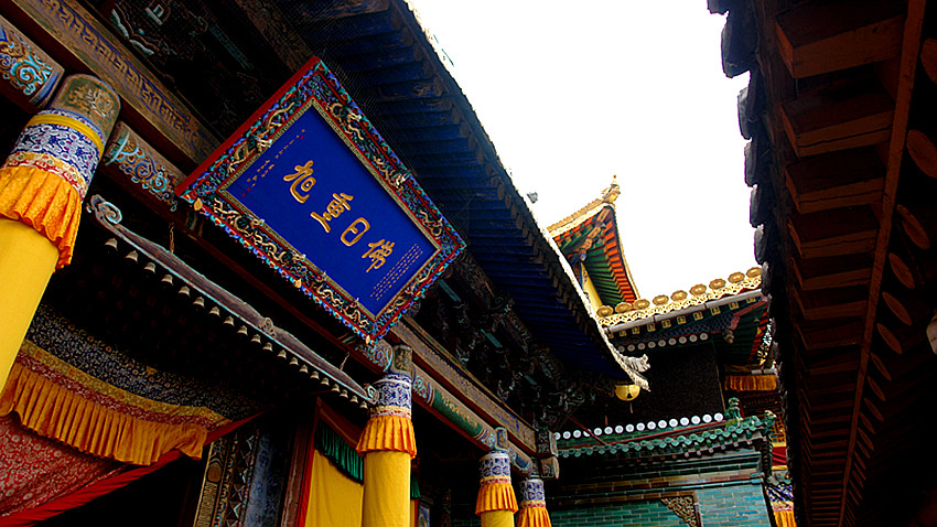 DSC07143_副本.jpg