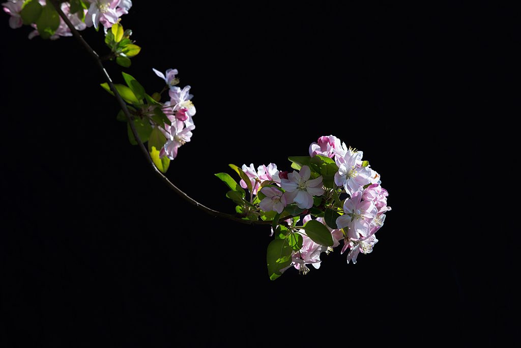 IMG_1180-1_副本_副本.jpg