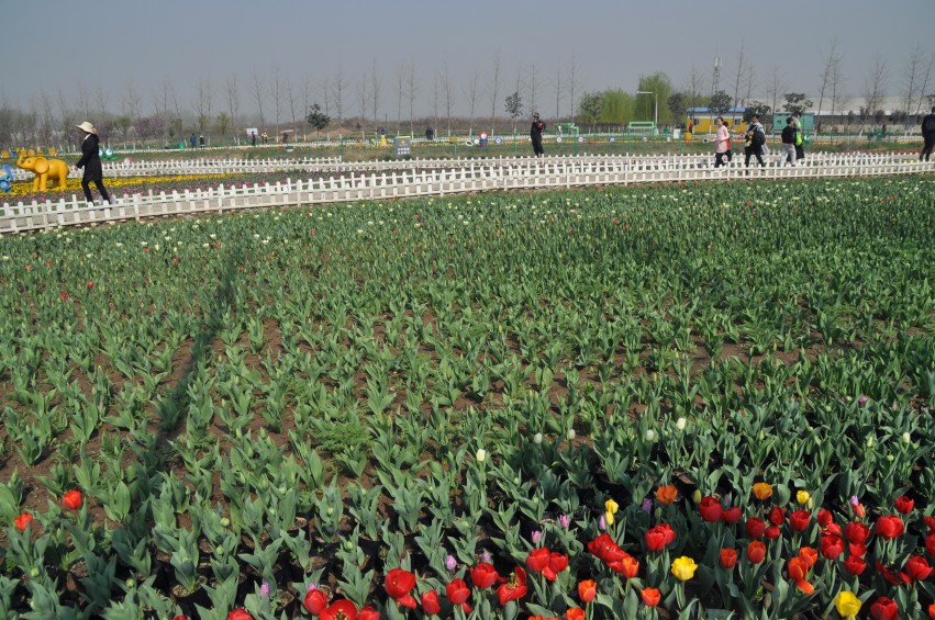 DSC_0081_conew1.jpg