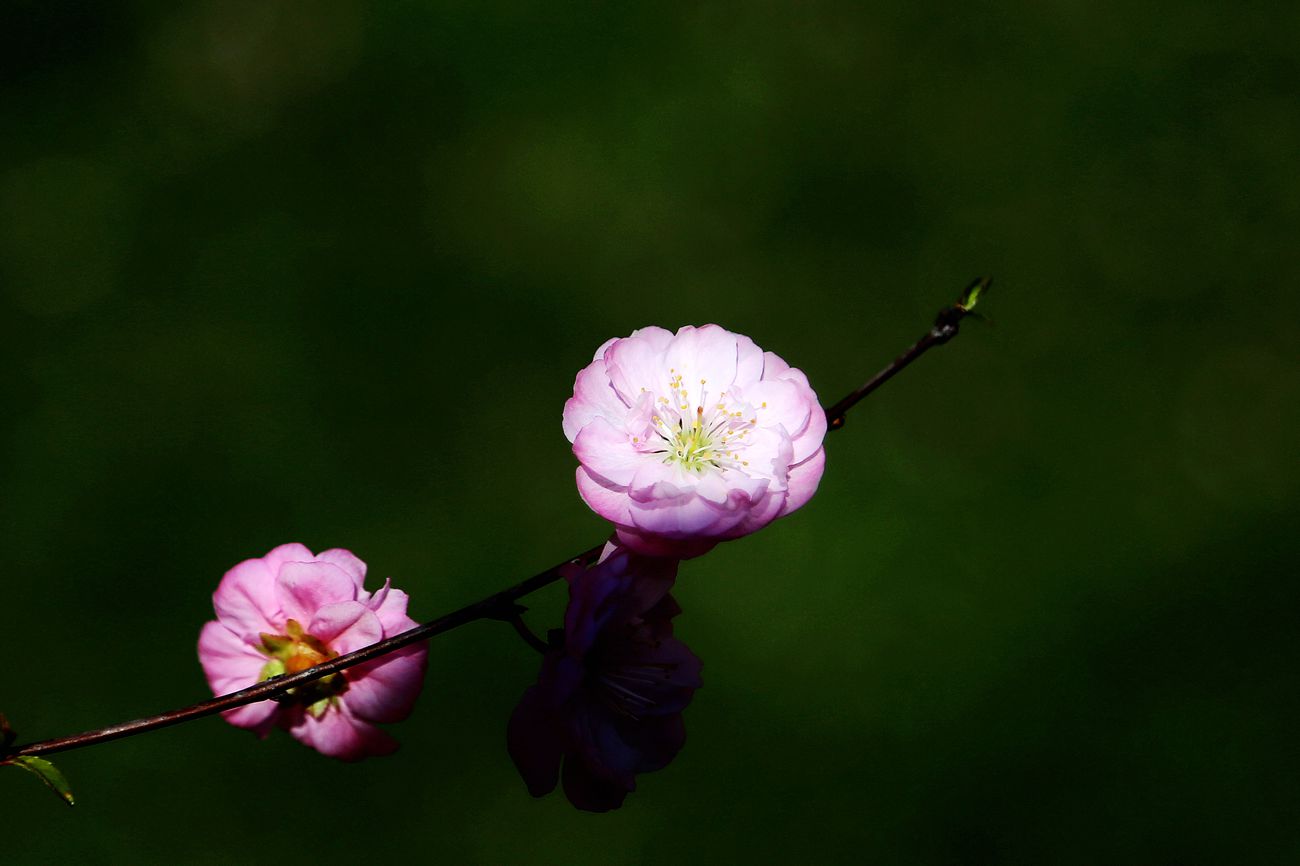 IMG_1688_副本.jpg