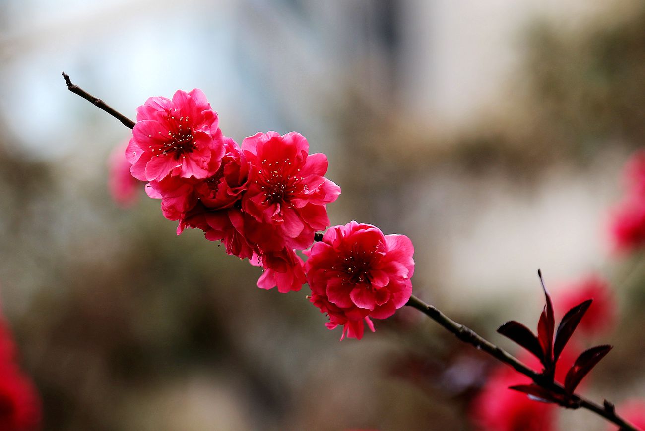 IMG_2058_副本.jpg