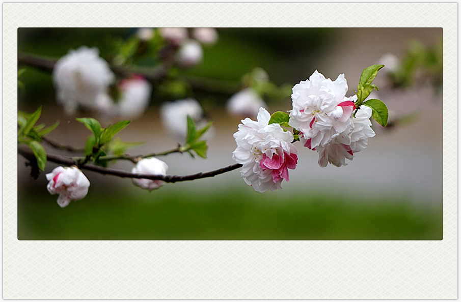 DSC00574_副本.jpg