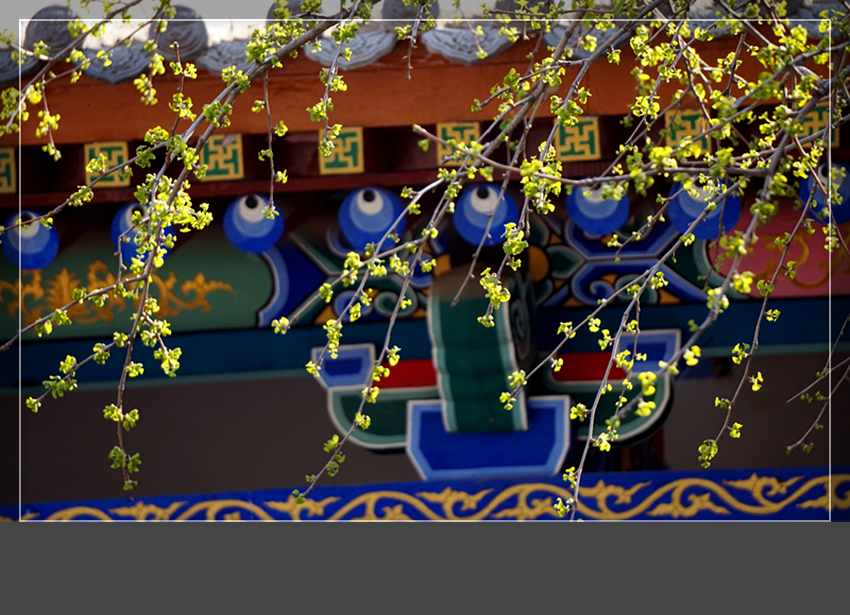 DSC03139_副本.jpg