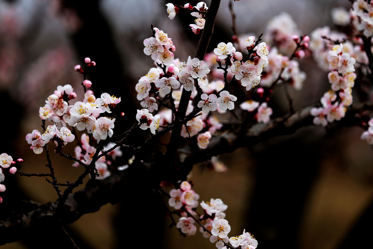 IMG_2673_副本.jpg