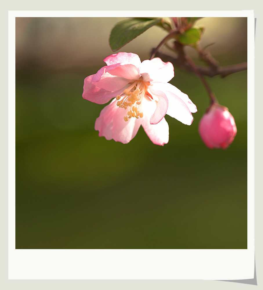 DSC_2993_副本.jpg