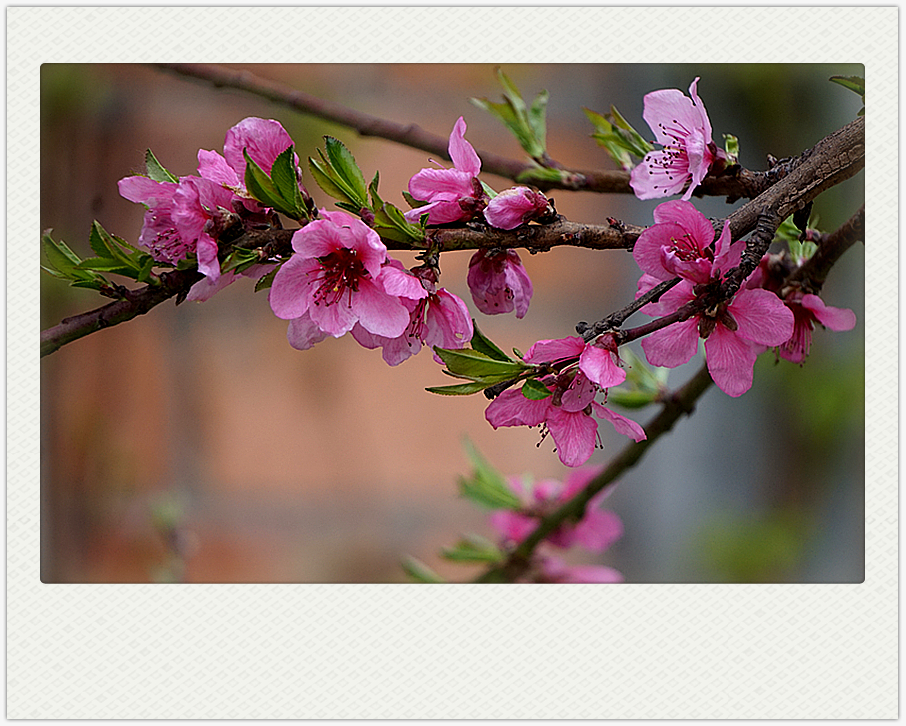 DSC00612_副本.jpg