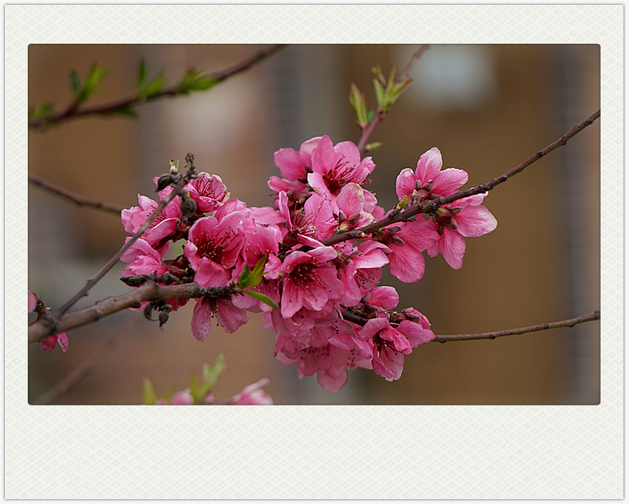 DSC00643_副本.jpg