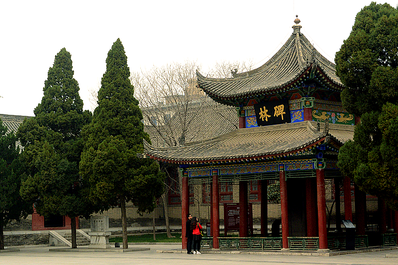 DSC_9384_副本.jpg