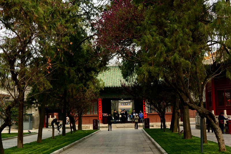 DSC_9337_副本.jpg