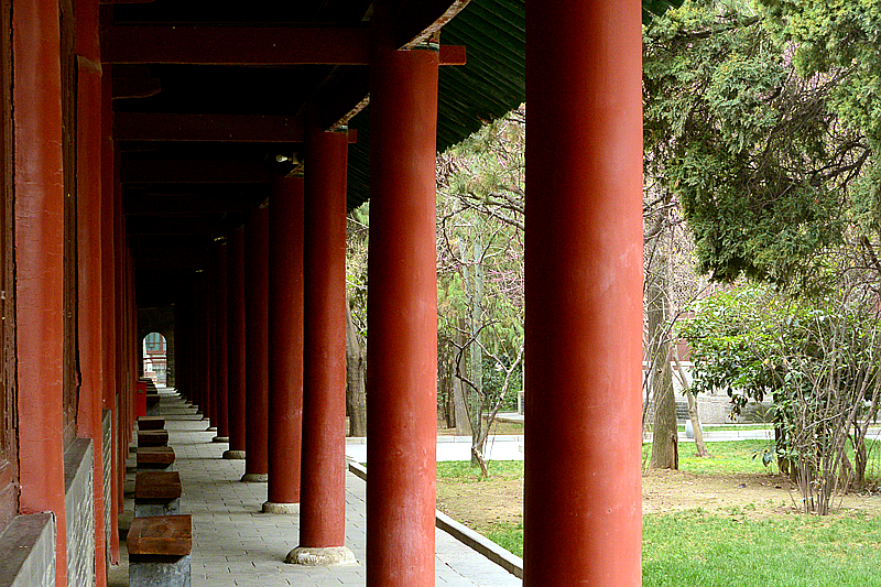 DSC_9383_副本.jpg