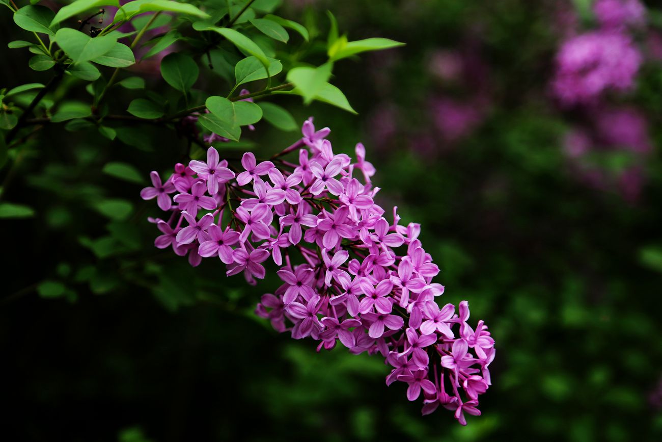 IMG_3283_副本.jpg