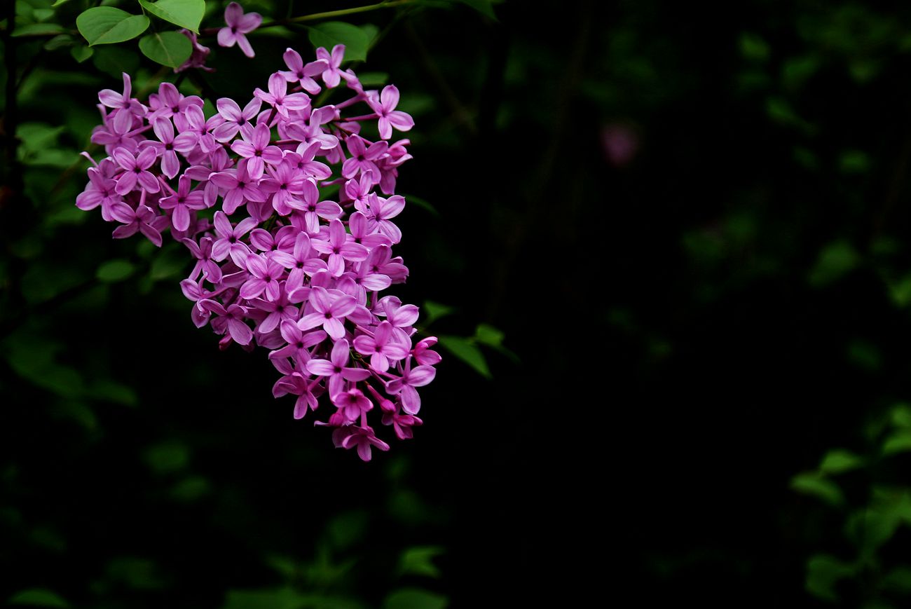 IMG_3289_副本.jpg