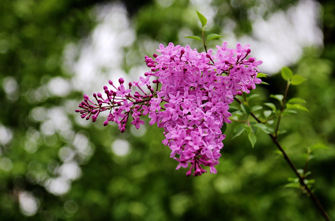 IMG_3290_副本.jpg