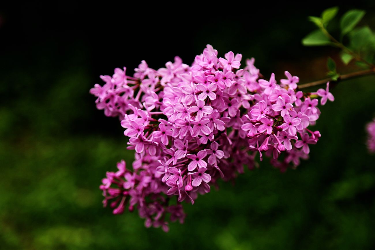 IMG_3315_副本.jpg